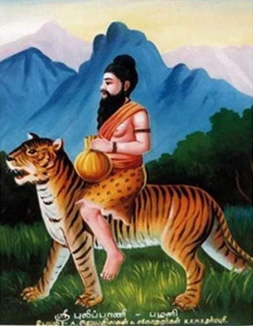 Pulippani Siddhar
