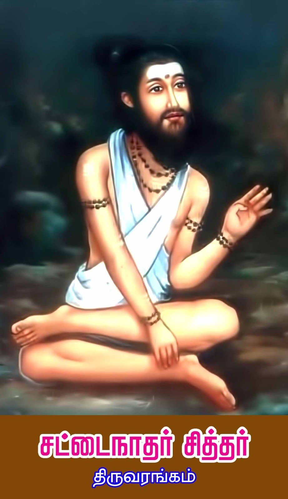 Sattaimuni Siddhar