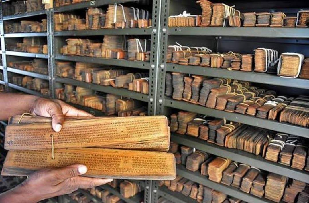 Traditional palm-leaf Nadi Astrology manuscripts